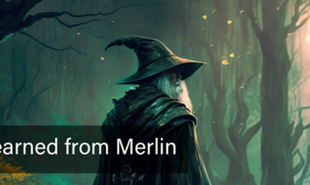 Lessons I Learned from Merlin