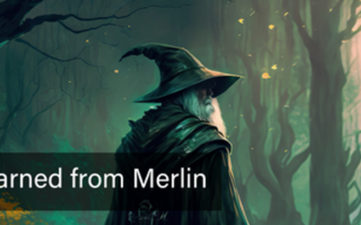 Lessons I Learned from Merlin