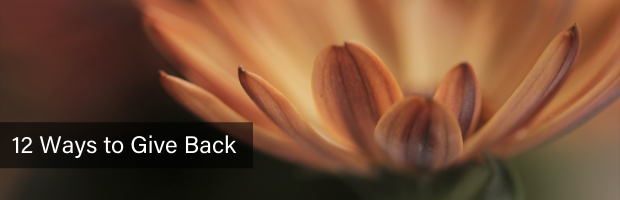 Close-up of a flower in bloom with a text overlay, "12 Ways to Give Back"
