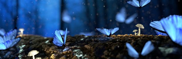 A Passion For Wild Places Speech - Robert Marshall Award Dinner - TWS