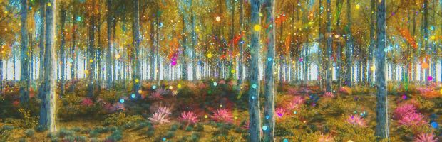 Imagine a New World - ALA Convention Speech