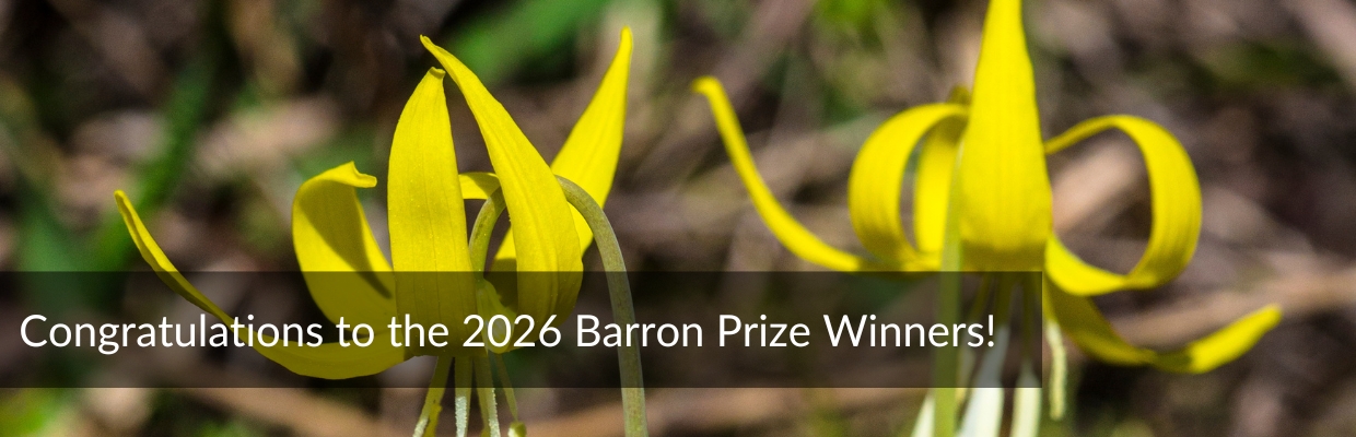 Photo of glacier lilies with text overlay reading, “Congratulations to the 2026 Barron Prize Winners!” The image celebrates the 2026 Gloria Barron Prize for Young Heroes recipients.