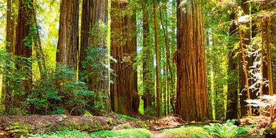 Bush Waging a War on Parks, Wilderness