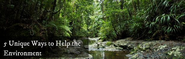 Serene creek surrounded by forest with text overlay, "5 unique ways to help the environment"