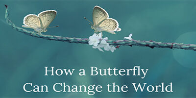 How a Butterfly Can Change the World