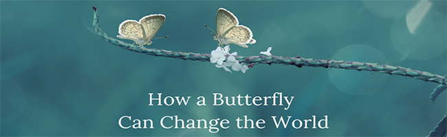 How a Butterfly Can Change the World