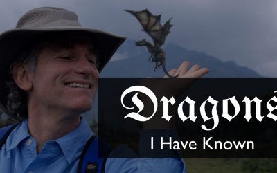 Dragons I Have Known