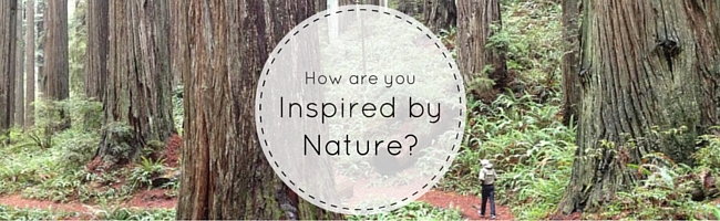 How Are You Inspired by Nature? - TABarron.com