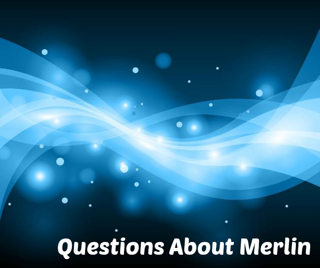 Questions from Readers About Merlin