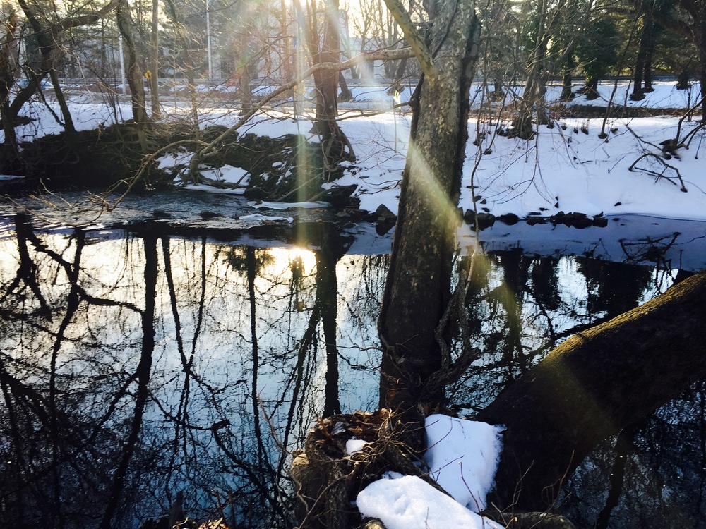 Light filters through the river in winter. 