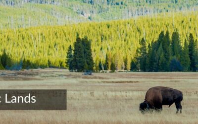 Save Our Public Lands