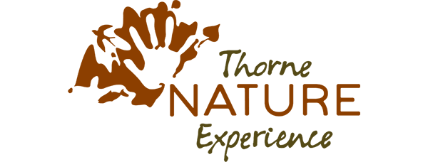 Thorne Nature Experience