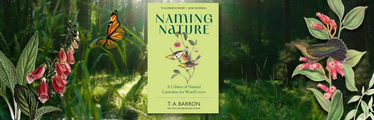 Naming Nature book by T. A. Barron exploring nature and the meaning of names