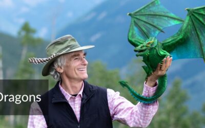 The History of Dragons