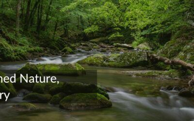 Before We Named Nature, We Told Its Story