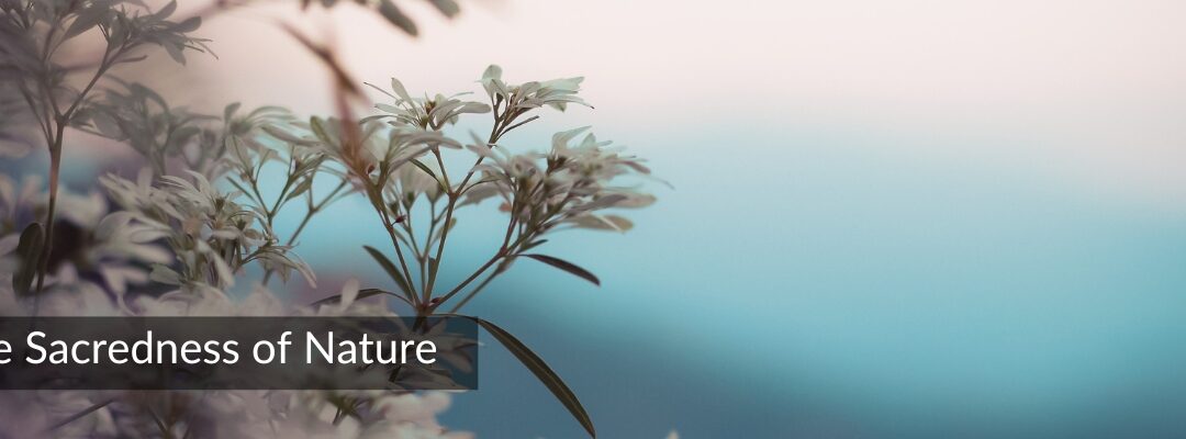 The Sacredness of Nature