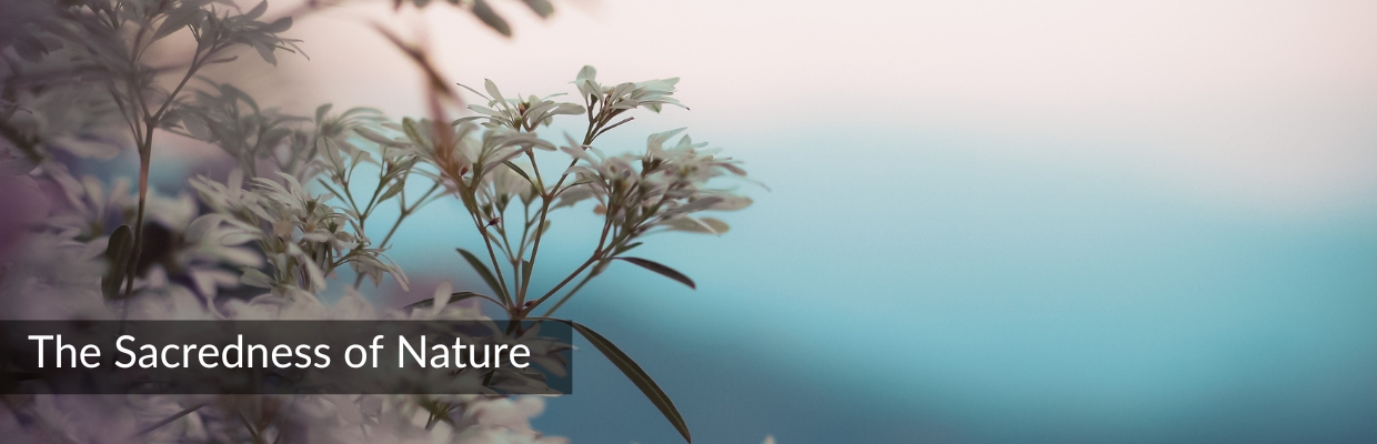 sacredness-of-nature_Featured