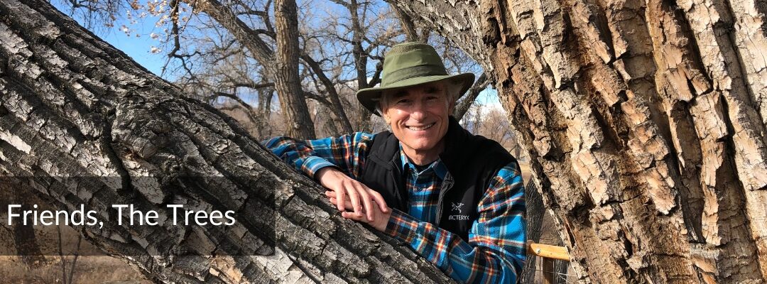 My Friends, The Trees