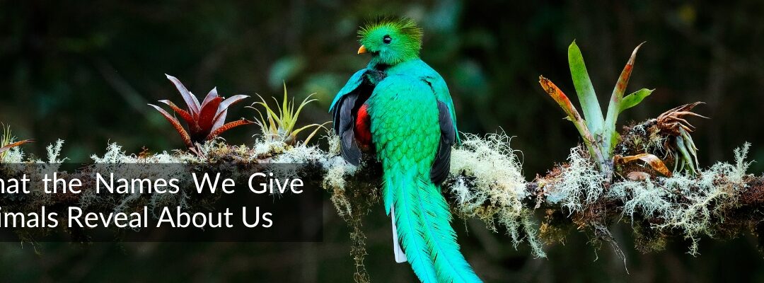 What the Names We Give Animals Reveal About Us
