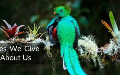 What the Names We Give Animals Reveal About Us