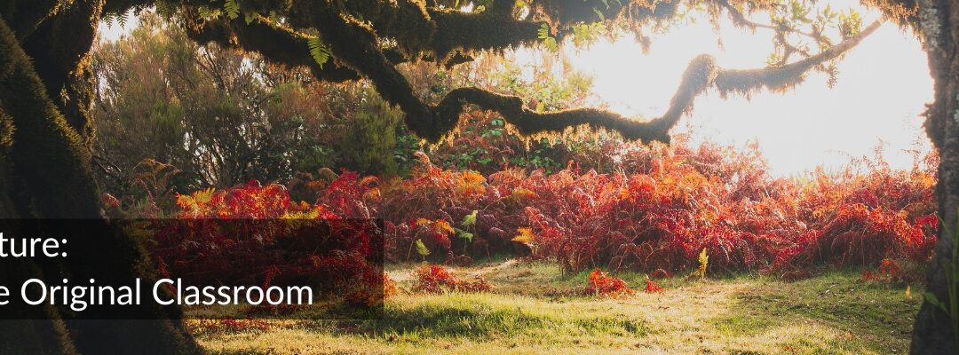 Nature: The Original Classroom